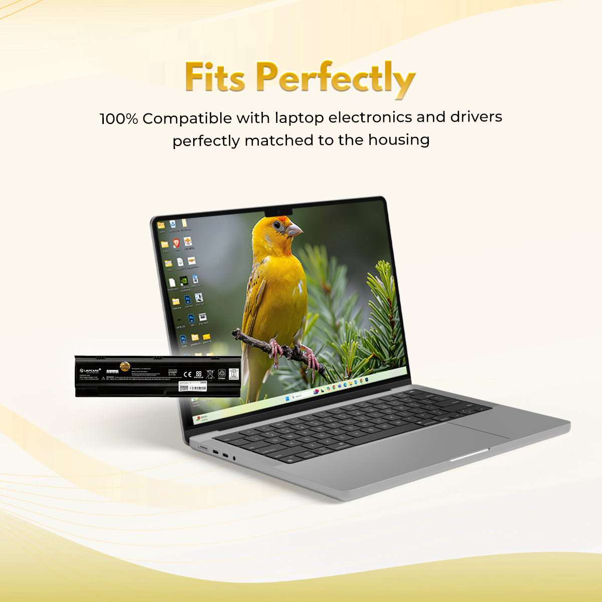 Laptop Compatible Battery For Presario V2000/M2000 6C