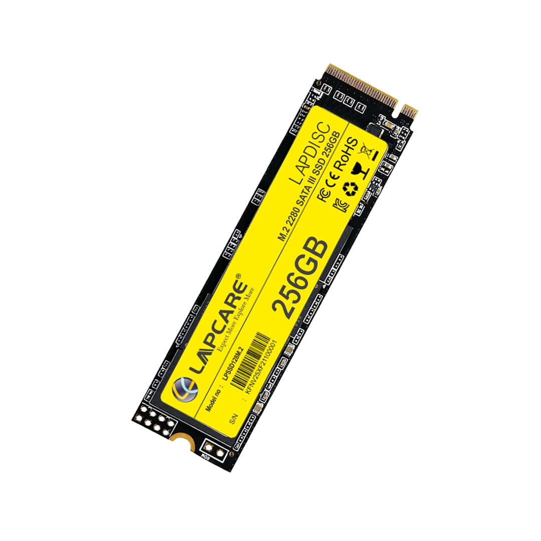 LAPDISC 256GB 2280 SATA III SSD