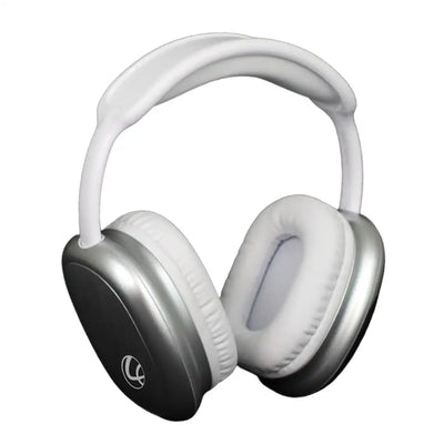 EERS Bluetooth Headphone Metallic Silver (LBH-213 )