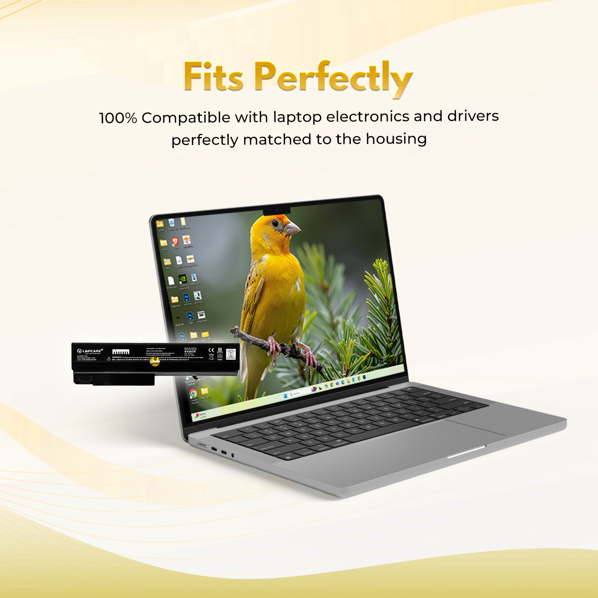 Laptop Compatible Battery For NX6120/6200/6110 6C